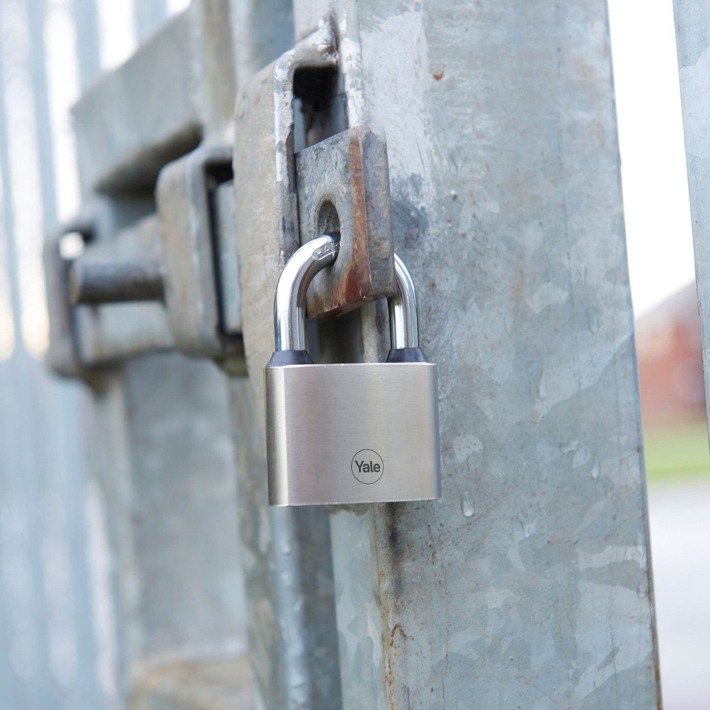 Y112/50/128/1 Yale 50mm Iron Disc Padlock with 3 Retaining Keys (Silver Finish)