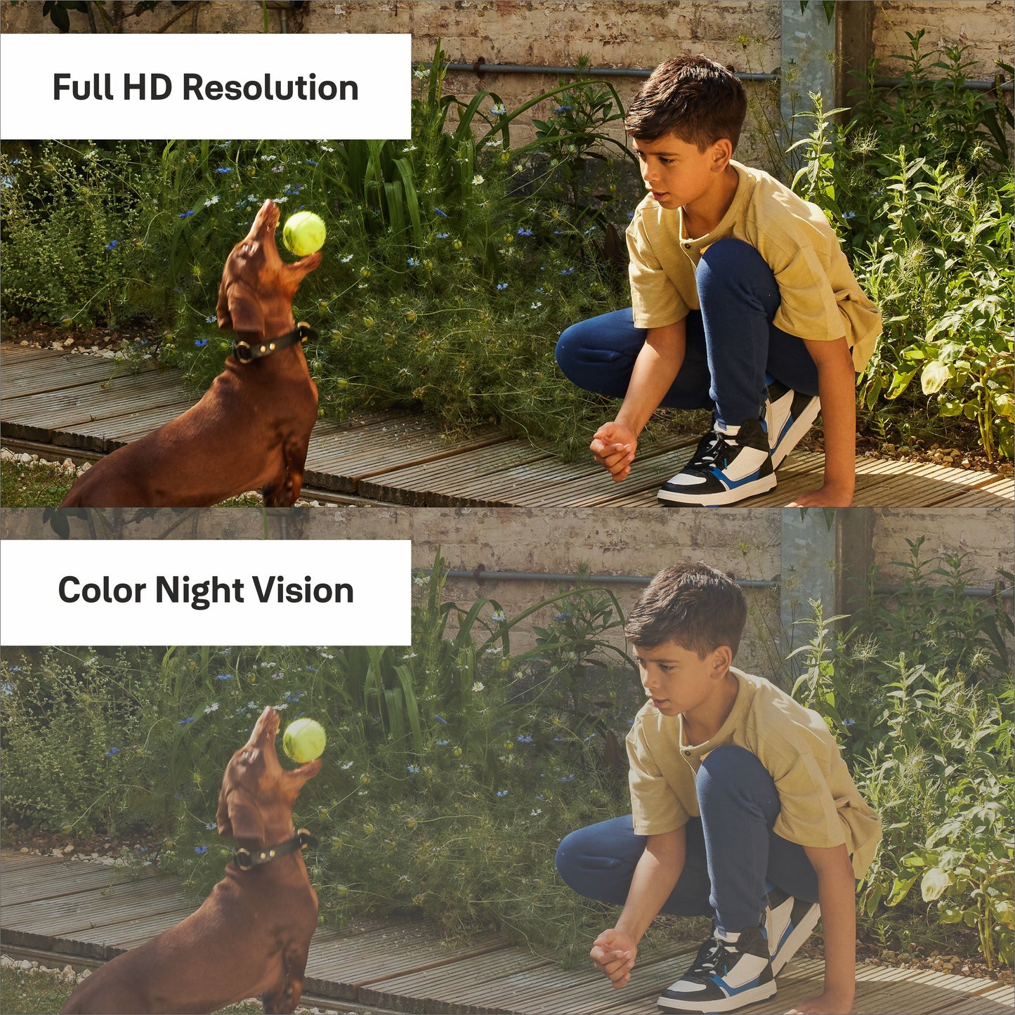 Yale Smart Outdoor Camera 1080p FHD | Motion Trigger | 2-way Audio | Color Night vision | Spotlight | Solar Charger (Optional) | Works with Yale home App