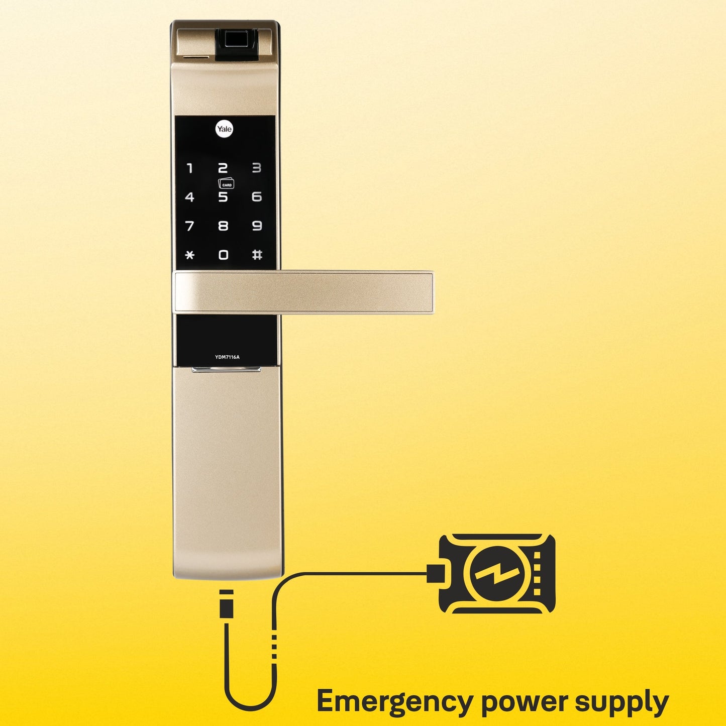 YDM 7116A Smart Lock, Champagne Gold with Fingerprint, PIN Code, RFID Card, Mechanical Key, Bluetooth module, Works with Yale Home App