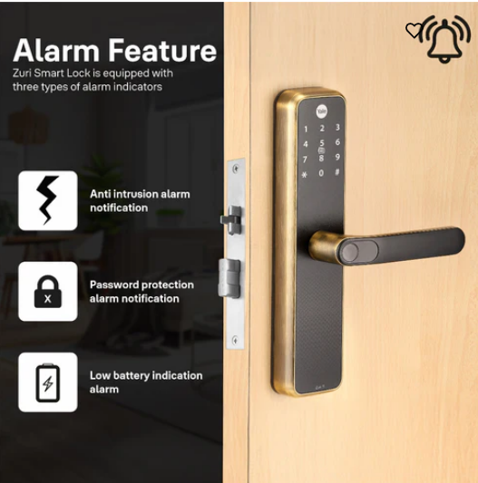 Yale Zuri S (Antique Bronze) Smart Lock with 5 way unlocking (Fingerprint, PIN, RFID, Manual Key) and Built-in Bluetooth (To Access through Home App)